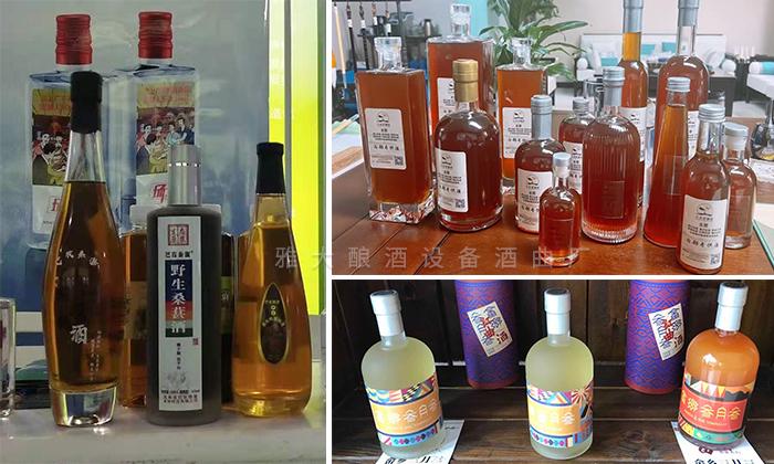 雅大學員用果酒釀酒設備釀造的果酒